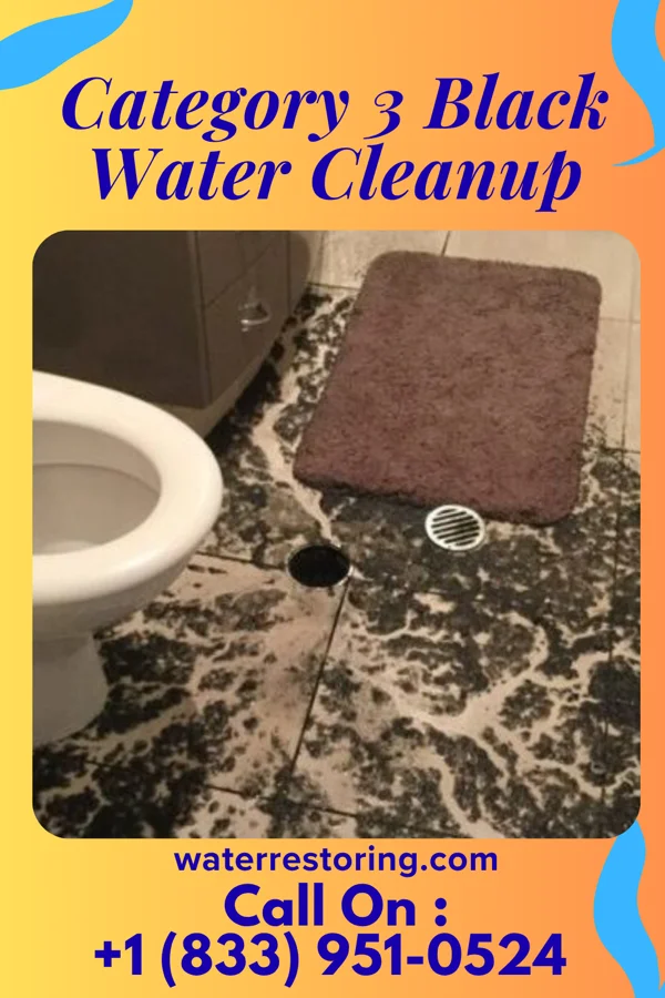 Category 3 Black Water Cleanup in Tamalpais-Homestead Valley, CA