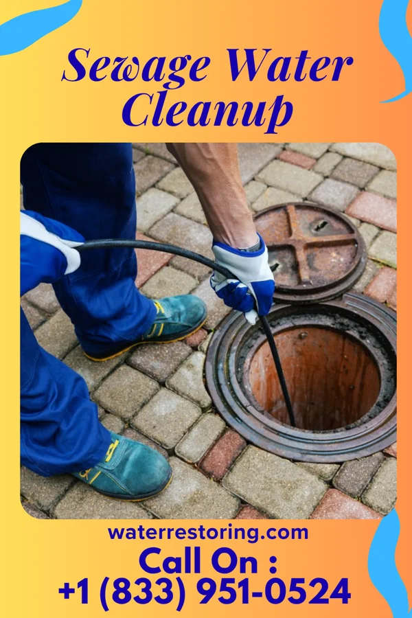Sewage Water Cleanup in Tamalpais-Homestead Valley, CA